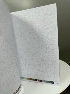 LIBRO PARA COLOREAR PORTADA GUS Y JAQ