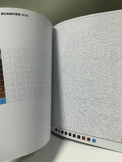 LIBRO PARA COLOREAR PORTADA BELLA Y BESTIA