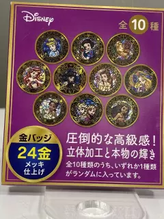 CHAPA SORPRESA PRINCESAS