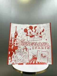 BOLSA RECICLABLE DISNEYLAND PARIS