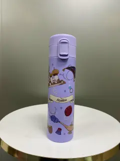 BOTELLA TERMICA ALADDIN