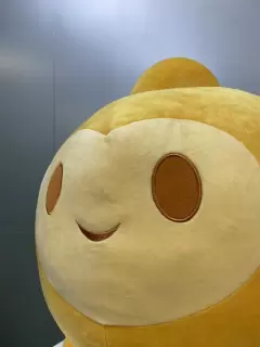 PELUCHE ESTRELLA WISH GIGANTE